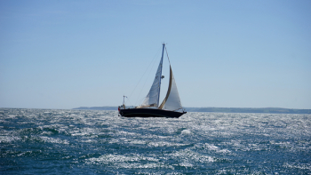White and Black Sail Boat on Ocean White and Black Sail Boat on Ocean