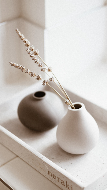 White and Brown Vases White and Brown Vases
