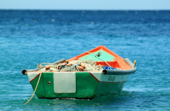 White and Green Empty Boat White and Green Empty Boat