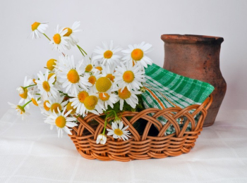 White and Orange Daisy Flowers on Brown Woven Basket Near Brown Vase