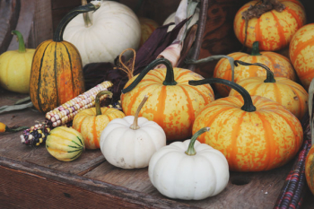 White and Orange Pumpkins on Brown Wooden Table White and Orange Pumpkins on Brown Wooden Table