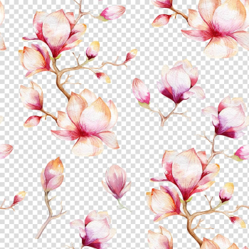 White and pink flower graphic art, Southern magnolia Watercolor painting , Pink flowers shading transparent background PNG clipart
