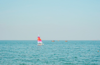White and Pink Sailboat on Blue Ocean Water