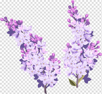 White and purple petaled flowers , Flower pattern elements transparent background PNG clipart