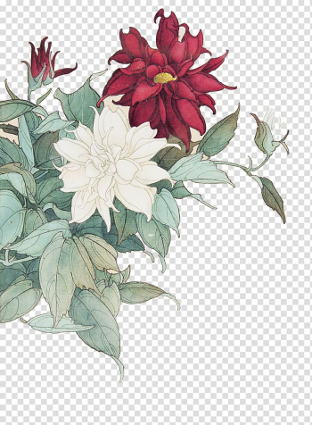 White and red flowers illustration, Moutan peony Paeonia lactiflora Red, Red peony white peony transparent background PNG clipart