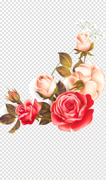 White and red rose illustration, Poster Aesthetics Valentines Day, Simple aesthetic background Valentines Day Poster transparent background PNG clipart