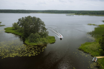 White and Red Sailboat on a Lake