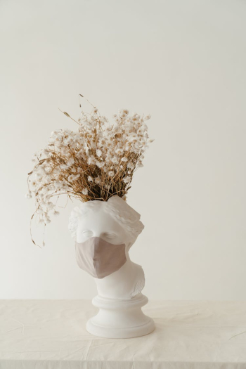 White and Yellow Flowers in White Vase