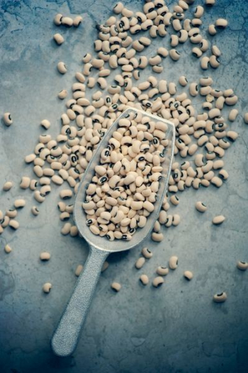 white beans on gray scraper white beans on gray scraper