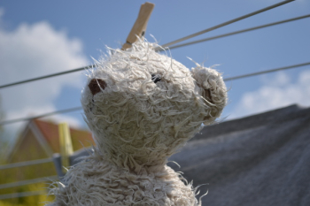 White Bear Plush Toy White Bear Plush Toy