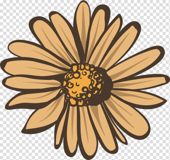 White , Beige autumn Daisy transparent background PNG clipart White , Beige autumn Daisy transparent background PNG clipart