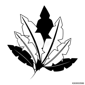 white black feathers decoration white black feathers decoration