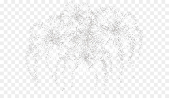 White Black Lace Pattern - Fireworks light beam White Black Lace Pattern - Fireworks light beam