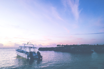 White Boat
