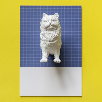 White Cat Figurine on Blue Surface White Cat Figurine on Blue Surface
