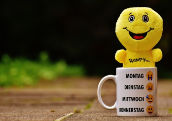 White Ceramic Mug With Yellow Plush Toy on It