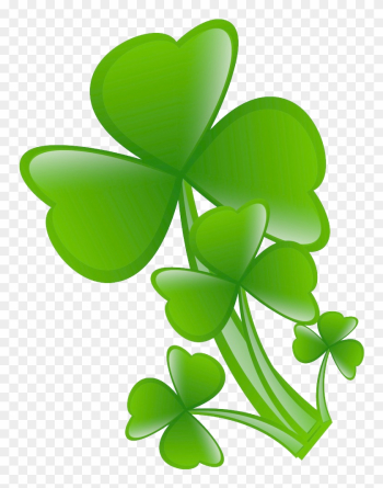 White Clover Four-leaf Clover - Clover White Clover Four-leaf Clover - Clover