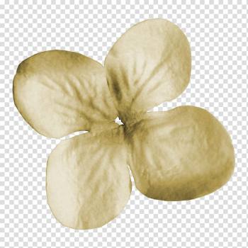 White Clover Four-leaf clover, white,Clover transparent background PNG clipart White Clover Four-leaf clover, white,Clover transparent background PNG clipart