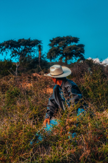 White Cowboy Hat White Cowboy Hat