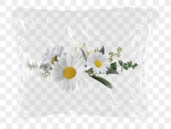 White daisy png flowers plastic | Free PNG - rawpixel