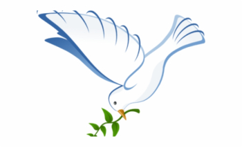 White Dove Clipart Vector - White Dove Free PNG Images & Clipart ...