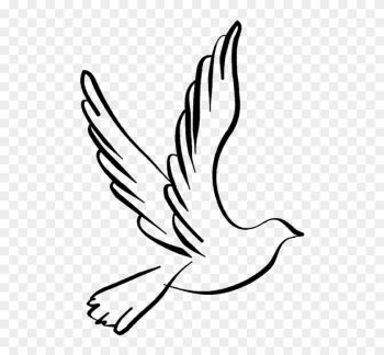 White Dove Flying Clipart - Black And White Dove Png