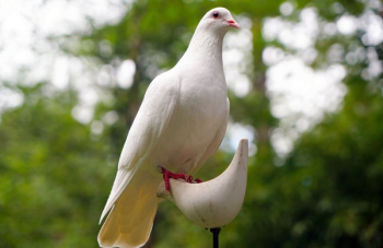 White Dove on White Bird Figure Stand White Dove on White Bird Figure Stand