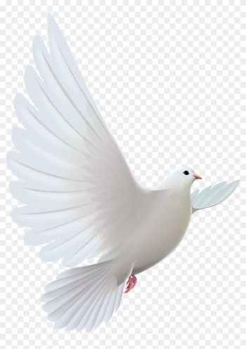 White Dove Transparent Png Clipartu200b Gallery Yopriceville - White Pigeon Flying Png