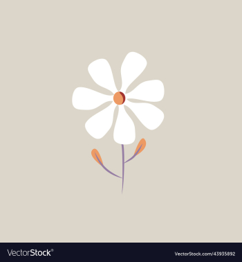 white fauna wild flower white fauna wild flower