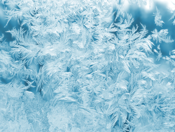 White Feathers Illustration White Feathers Illustration