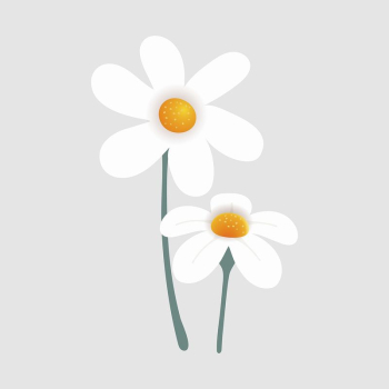 White flower collage element, cute | Free Vector Illustration - rawpixel White flower collage element, cute | Free Vector Illustration - rawpixel