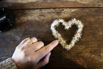 White Flower Forming Heart White Flower Forming Heart