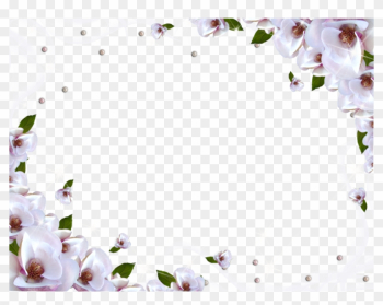 White Flower Frame Png Image - Transparent Background Flower Frame