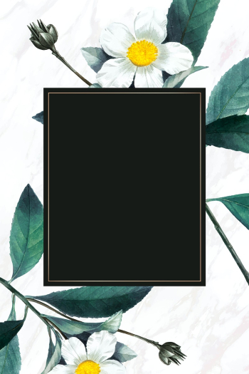 White flower frame psd vintage illustration White flower frame psd vintage illustration