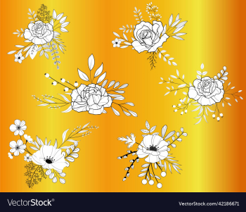 white flower hand drawn white flower hand drawn