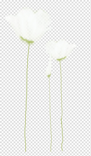 White flower , Petal Cut flowers, Watercolor flowers creative floral patterns transparent background PNG clipart