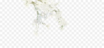 White Flower - White flowers White Flower - White flowers