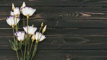 White flowers bouquet on wooden table White flowers bouquet on wooden table