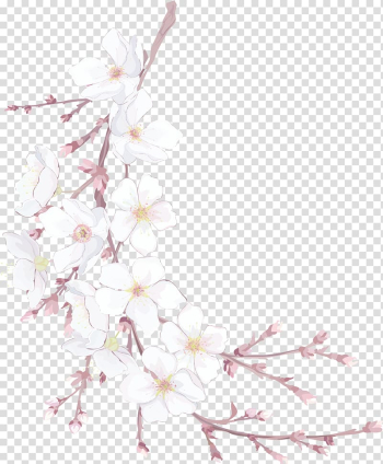 White flowers illustration, Flowers transparent background PNG clipart White flowers illustration, Flowers transparent background PNG clipart