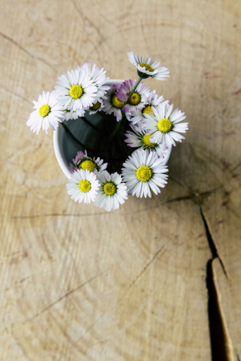White Flowers in Cup White Flowers in Cup