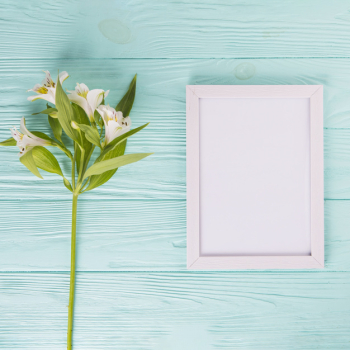 White flowers with blank frame on wooden table White flowers with blank frame on wooden table