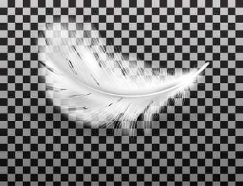 White fluffy feather with shadow realistic Free Vector White fluffy feather with shadow realistic Free Vector