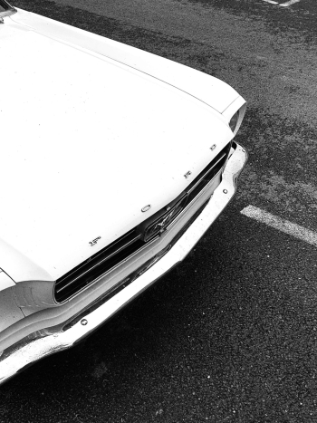 White Ford Mustang Coupe on Road White Ford Mustang Coupe on Road