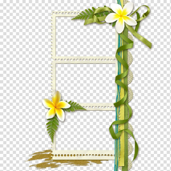 White frangipani flower, Floral design frame Flower, Floral design Creative floral border art transparent background PNG clipart