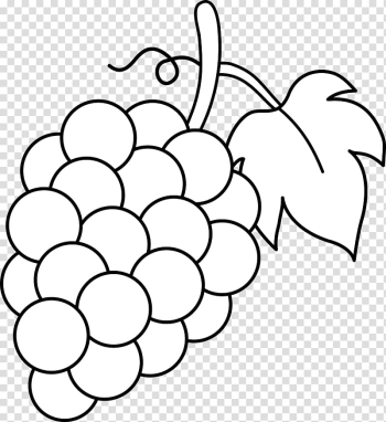 White grapes , Common Grape Vine Wine Black and white , Vine Line transparent background PNG clipart