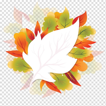 White, green, and red leafed illustration, Floral design Maple leaf Autumn, Maple autumn leaves transparent background PNG clipart