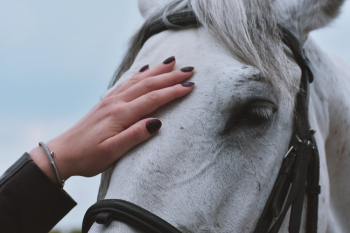White Horse