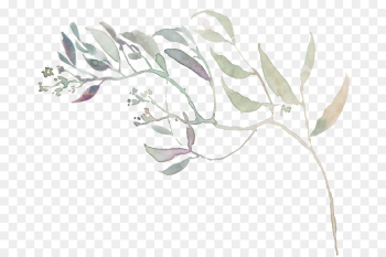 white leaf plant flower drawing
