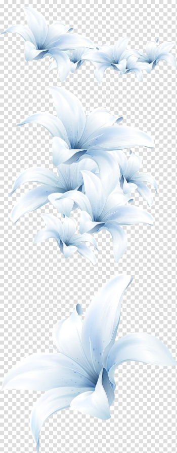 White lily flowers illustration, Flower bouquet Lilium candidum White, lily transparent background PNG clipart