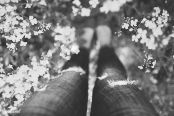 White little flowers. Visit Kaboompics for mo.. | Free stock photo - 435853 White little flowers. Visit Kaboompics for mo.. | Free stock photo - 435853